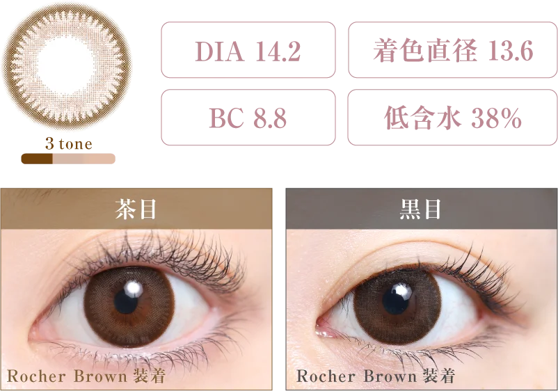 Rocher Brown 着画＆スペック