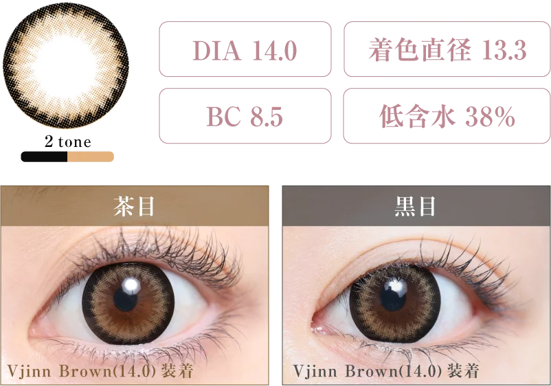 Vjinn Brown(14.0) 着画＆スペック