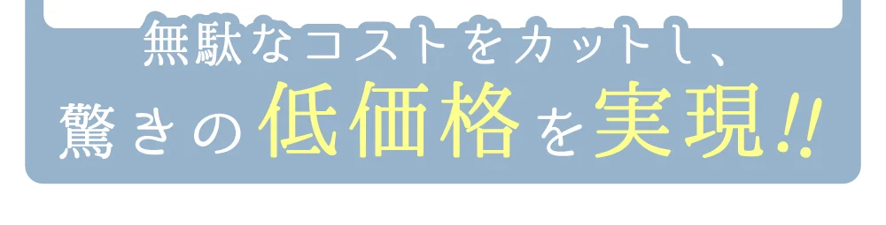 無駄なコストをカットし、驚きの低価格をを!!