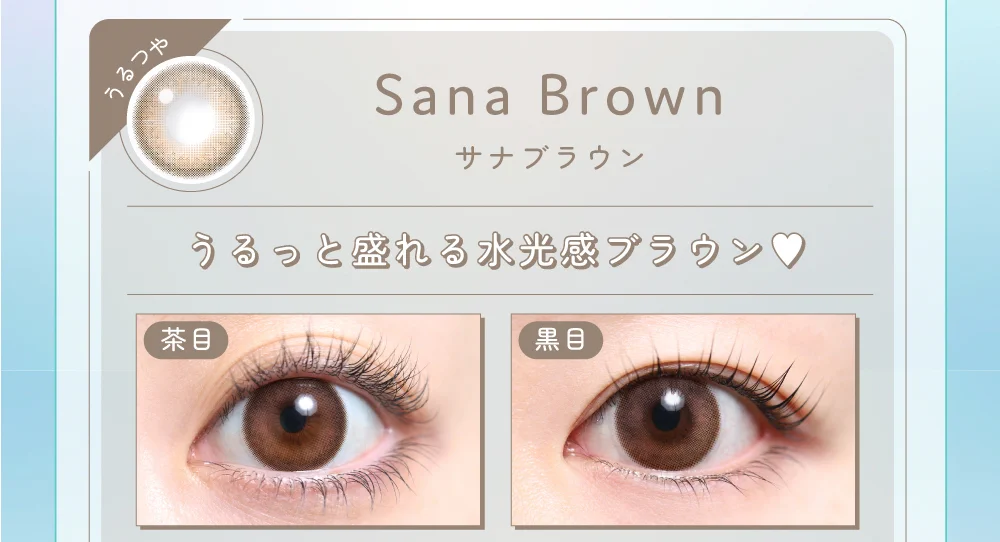 サナブラウン着画