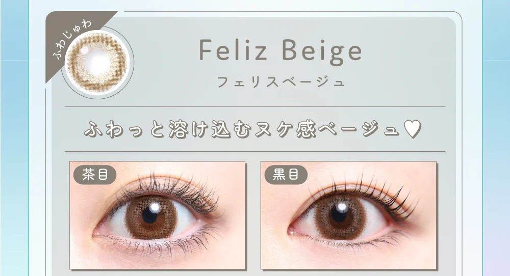 フェリスベージュ着画