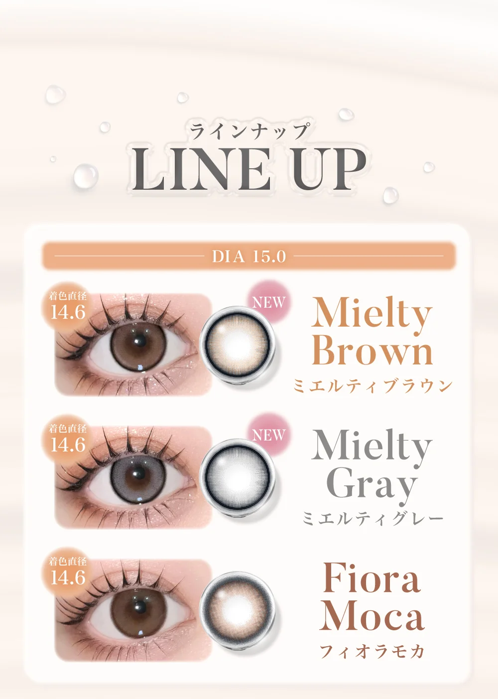 ラインナップタ2