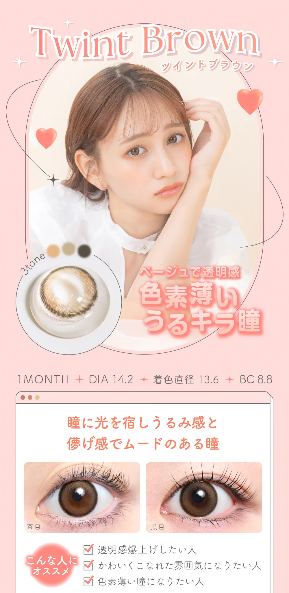 ツイントブラウン紹介