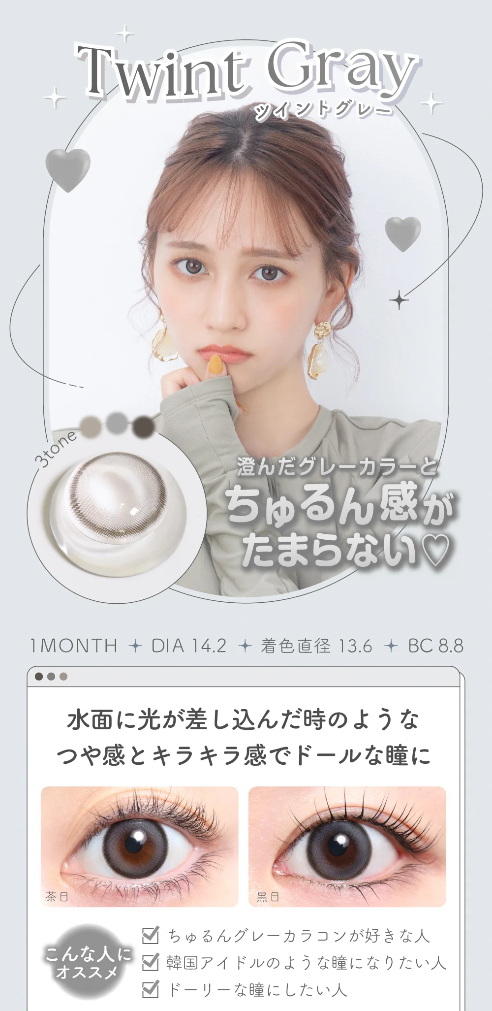 ツイントグレー紹介