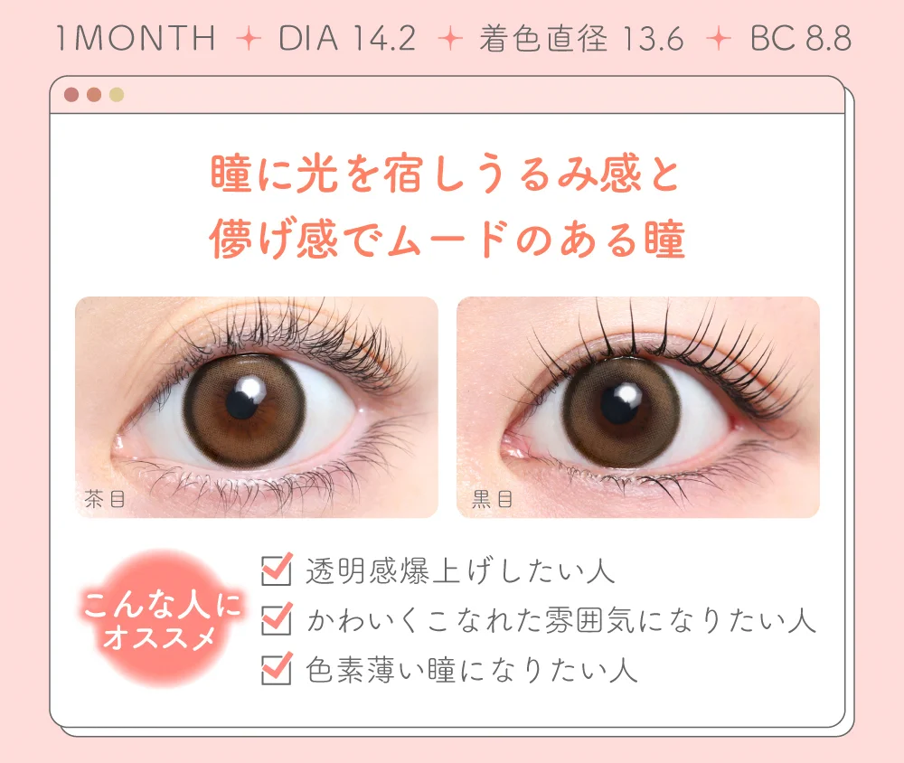 ツイントブラウン紹介