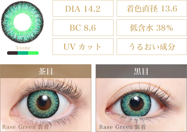 Rase Green 着画＆スペック