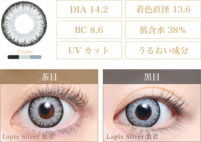 Lapis Silver 着画＆スペック